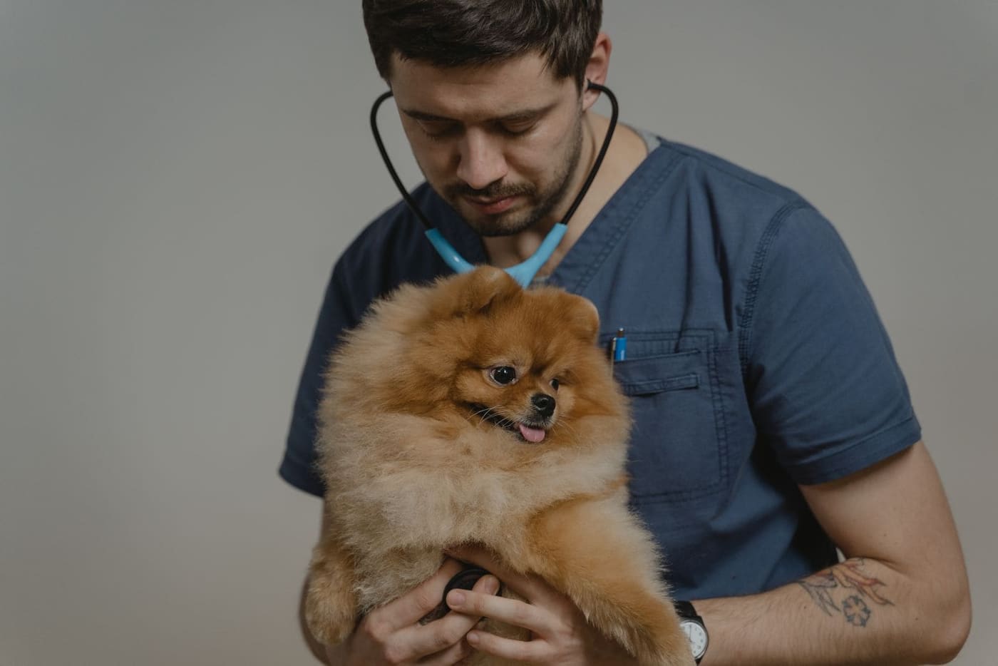 A vet in blue scrubs holding a small fluffy dog in his arms