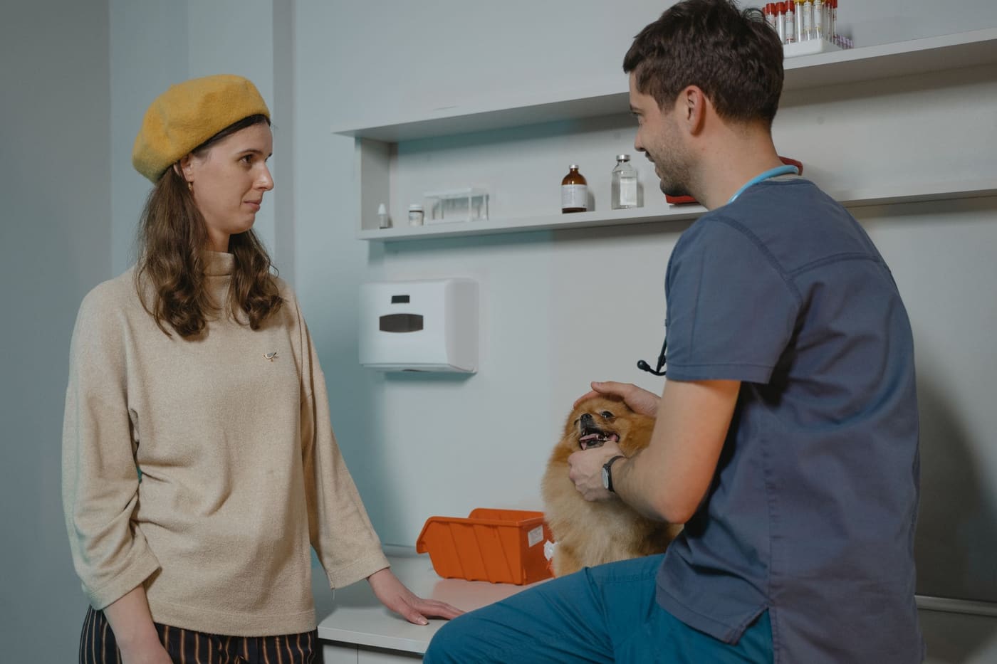 A vet holding a small fluffy dog on the exam table while its owner looks on