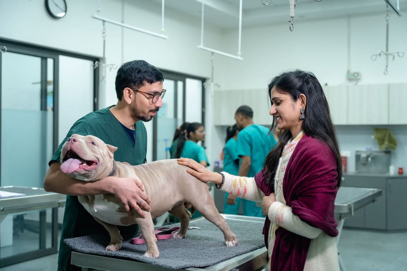 A vet and a smiling owner with a large dog on the table in a modern clinic