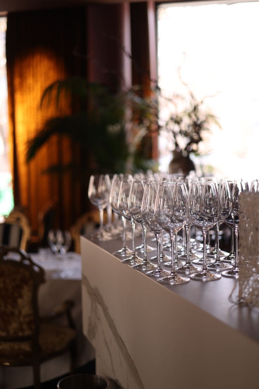 Rows of wine glasses on the bar