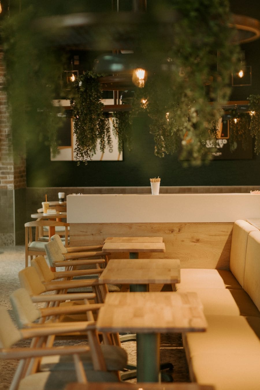 A warm timber booth under hanging plants