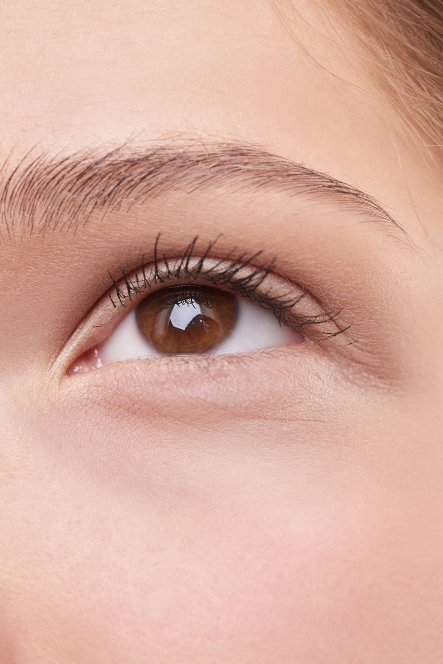 Long, curled lashes on a brown eye